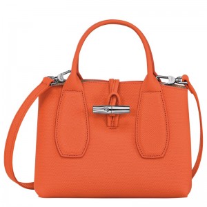 Longchamp Le Roseau S Handbag - Leather Handbags Orange | NS98-Y6RD