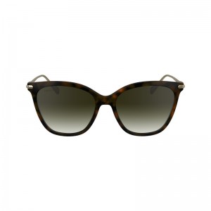 Longchamp Sunglasses - OTHER Sunglasses Dark Havana | CX68-M9WY