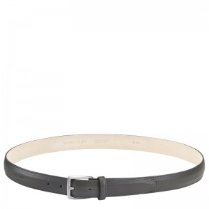 Longchamp Végétal Men's belt - Leather Belts Grey | FA33-G0QZ