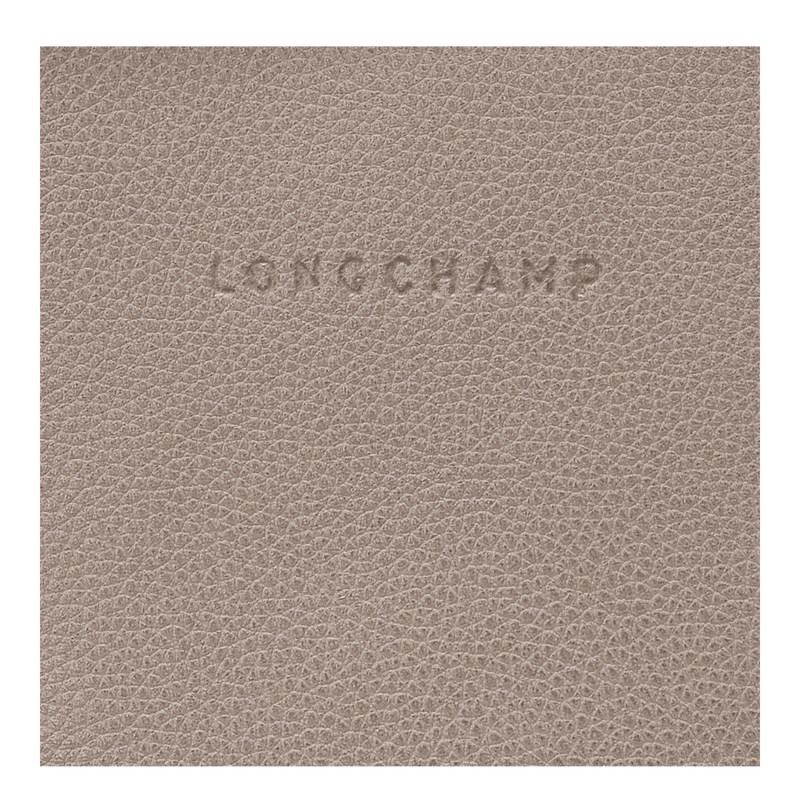 Longchamp Le Foulonné Backpack - Leather Backpacks Turtledove | FO16-G2CF