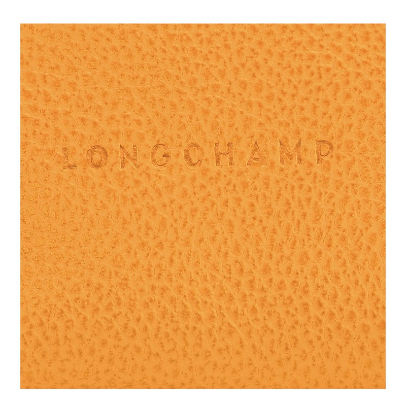 Longchamp Le Foulonné Coin purse - Leather Cardholders & Coin purses Apricot | AR10-K9BG