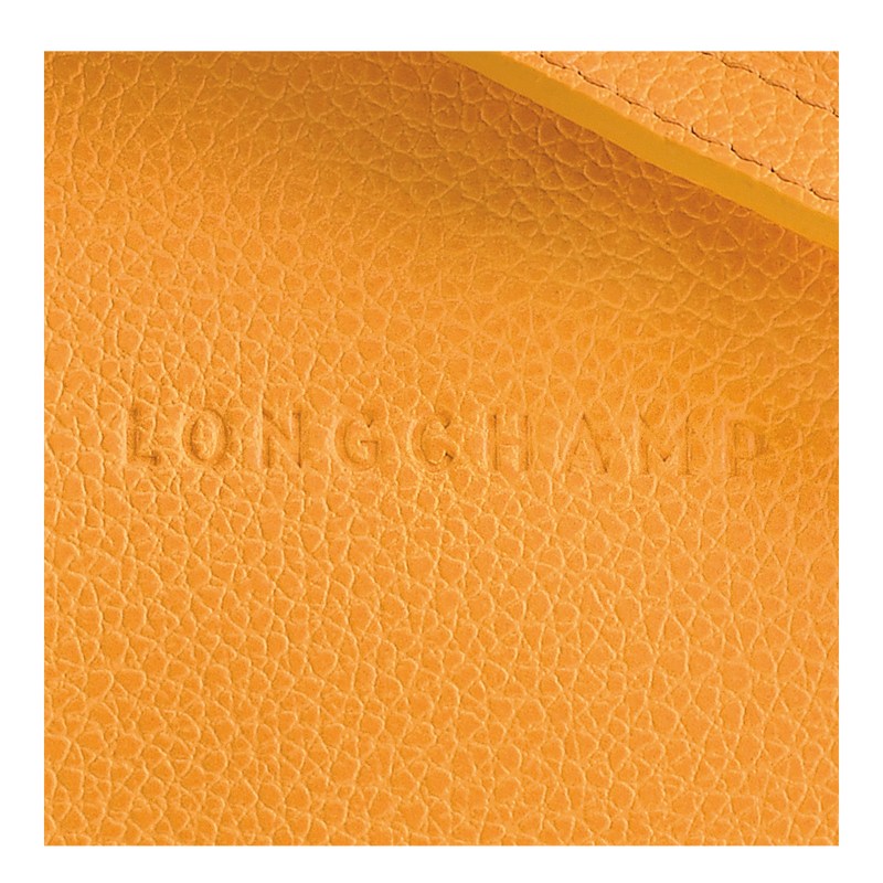 Longchamp Le Foulonné S Crossbody bag - Leather Crossbody bags Apricot | NV09-B4HD