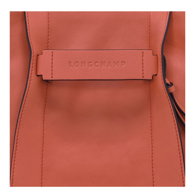 Longchamp Longchamp 3D S Crossbody bag - Leather Crossbody bags Sienna | UX30-J7GU